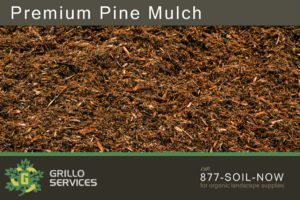 Premium Pine Mulch