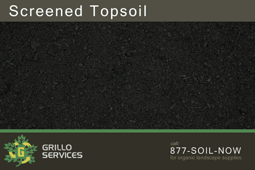 Featured image for “Screened Topsoil (1 Yard)”