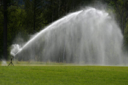 Sprinkler, Grass, Watering, Irrigation