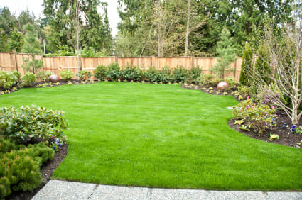 Winter Lawn Care Grillo Services Beautiful Lush Gr In A Small Backyard With Landscaped Border And Fence