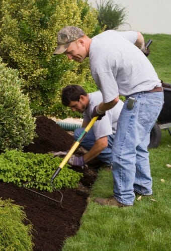 Choosing Between Pine Hemlock Cedar Bark Colored Mulch Ct Grillo Choosing Between Pine Hemlock Cedar Bark Colored Mulch Ct