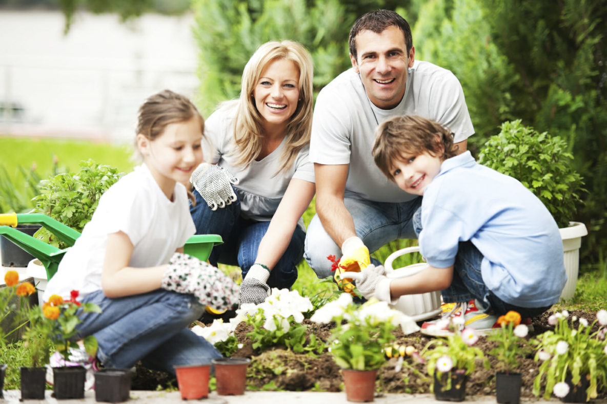 Portrait of a family gardening, mother, father, son, and daughter.