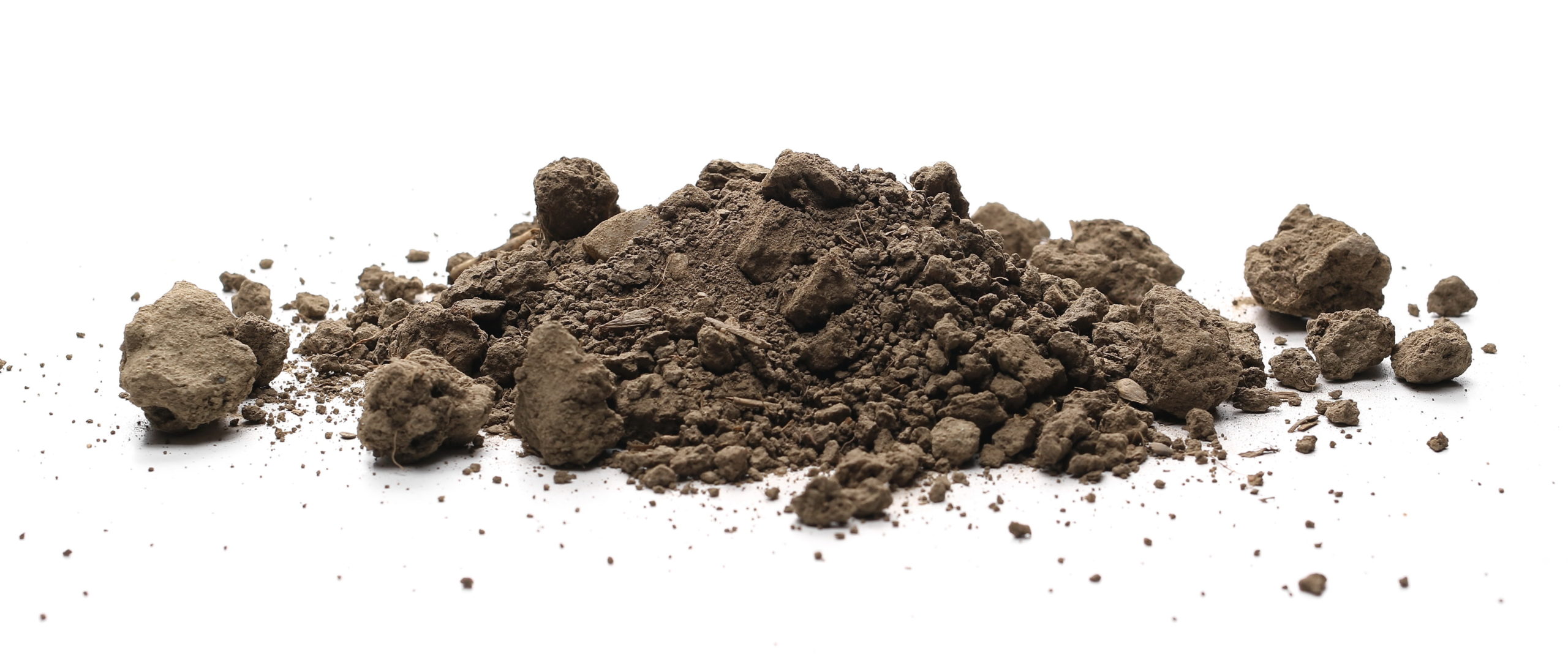 Featured image for “Fill Dirt With Rocks (1 Yard)”