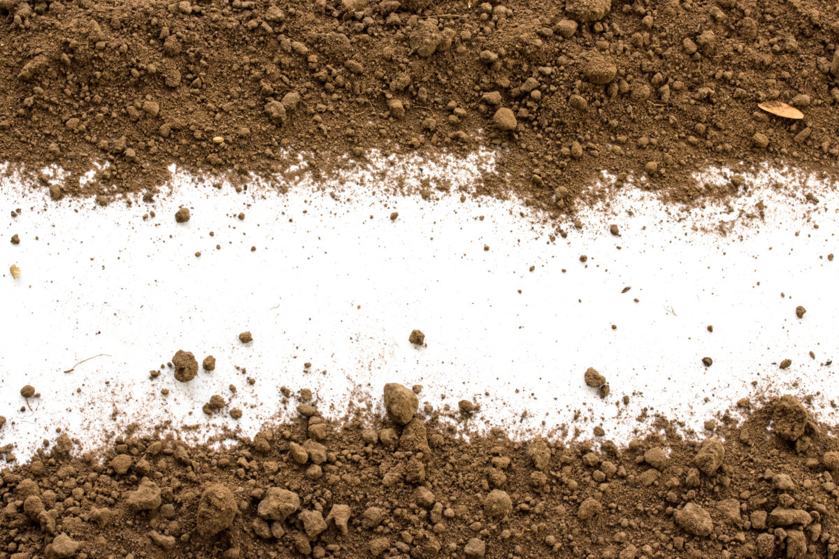 Screened Fill (1 Yard)
