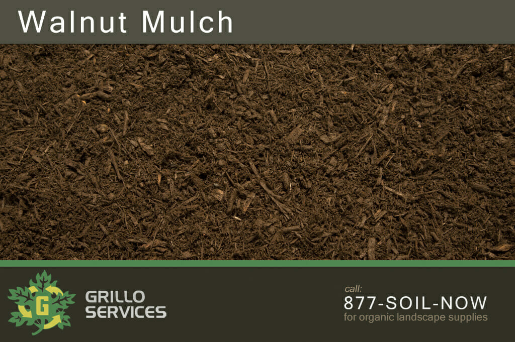 Image of Black walnut mulch 10 yards free to use