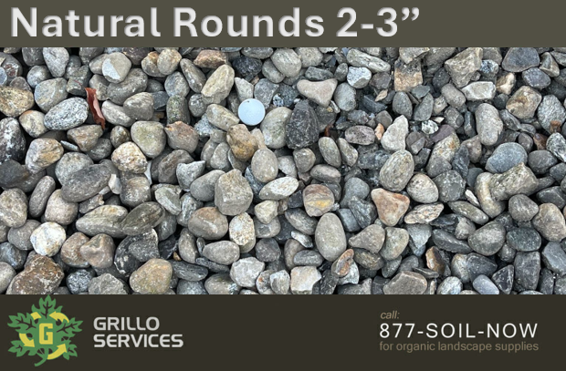 Featured image for “Natural Rounds 2-3"”